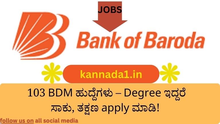 BOB Capital Markets Recruitment